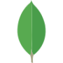 icons8-mongodb-a-cross-platform-document-oriented-database-program-96